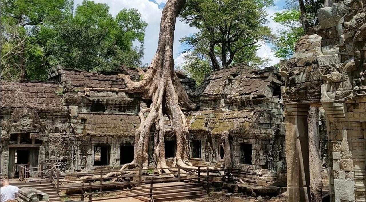 The Palmery Siem Reap Exteriör bild
